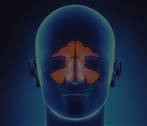 sinus nasal center